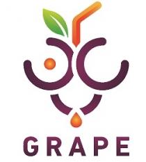 GRAPE;عنب