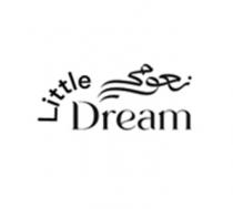 Little Dream;نعومي