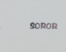 SOROR;سرور