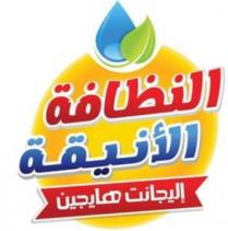 النظافة الأنيقة إليجانت هايجين