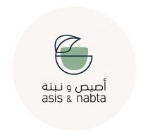 Asis & Nabta;أصيص و نبتة