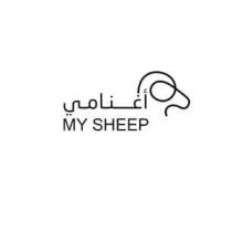 MY SHEEP;أغنامي