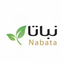 Nabata;نباتا