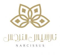 narcissus;نارسيس النرجس