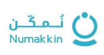 numakkin;نمكن ن