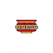 MNESH