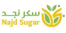 Najd Sugar;سكر نجد