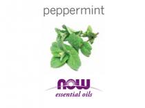 peppermint now essential oils