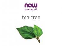 now essential oils tea tree