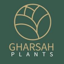 gharsah plants