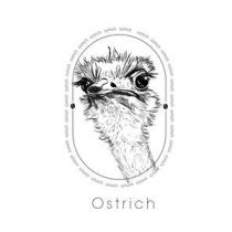 ostrich