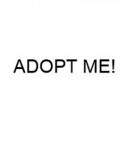 ADOPT ME!