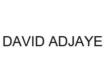 DAVID ADJAYE