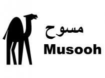 Musooh;مسوح