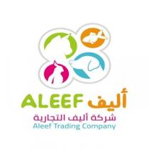 ALEEF Aleef Trading Company;أليف شركة أليف التجارية