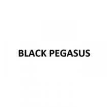 BLACK PEGASUS