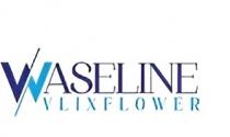 WASELINE VLIX FLOWER