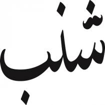 شنب