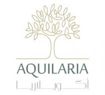 AQUILARIA;أكويلاريا