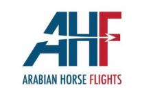 Arabian Horse Flights