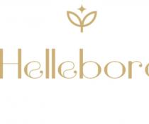 HELLEBORE;هيليبور