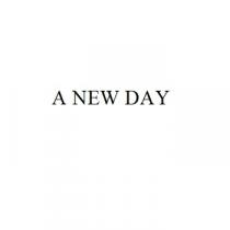 A NEW DAY