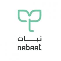 nAbAAt ;نبات