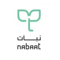 nAbAAt;نبات