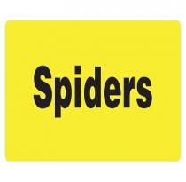 Spiders