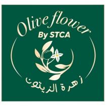 Olive flower By STCA;زهرة الزيتون