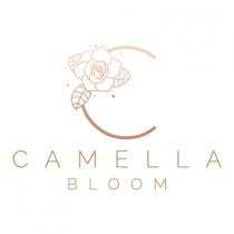 Camella bloom