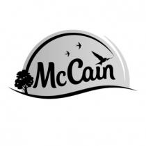 McCain