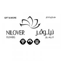GIFT & MORE NILOVER FLOWERS;هدايا و أكثر نيلوفر للزهور