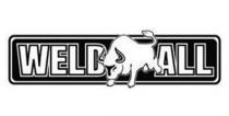 WELD ALL