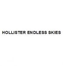 HOLLISTER ENDLESS SKIES