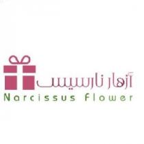 Narcissus Flower;أزهار نارسيس