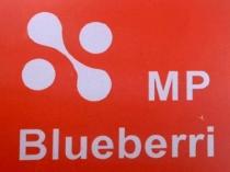 MP Blueberri