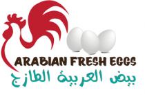 Arabian Fresh Eggs;بيض العربيه الطازج