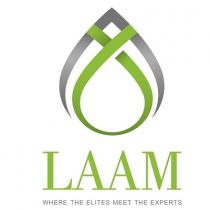 LAAM where the elites meet the experts