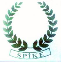 spike