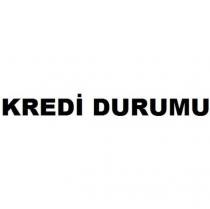 kredi durumu