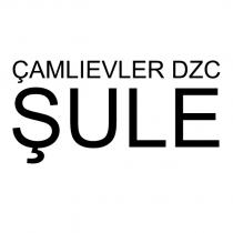 çamlıevler dzc şule