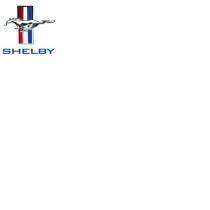 shelby