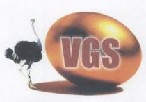 vgs