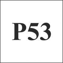 p53