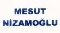 mesut nizamoğlu