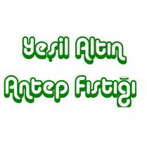 yeşil altın antep fıstığı