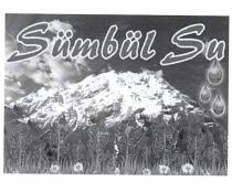 sümbül su