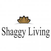 shaggy living