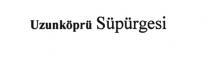 uzunköprü süpürgesi